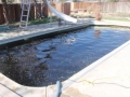 tn_1200_acid_wash_victor_ville_005.JPG.jpg