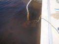 tn_1200_acid_wash_victor_ville_009.JPG.jpg