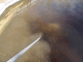 tn_1200_acid_wash_victor_ville_014.JPG.jpg