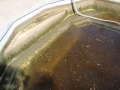 tn_1200_acid_wash_victor_ville_019.JPG.jpg