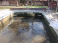 tn_1200_acid_wash_victor_ville_020.JPG.jpg