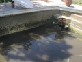 tn_1200_acid_wash_victor_ville_024.JPG.jpg