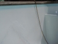 tn_1200_serrano_028.JPG.jpg